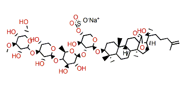 Magnumoside B3